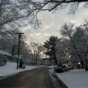 Winter Snow Scene Backdrop - Holiday Photography Background